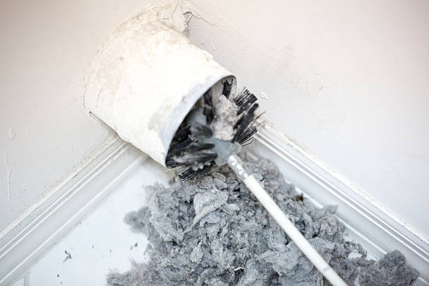 Best Home Air Vent Cleaning  in Indialantic, FL